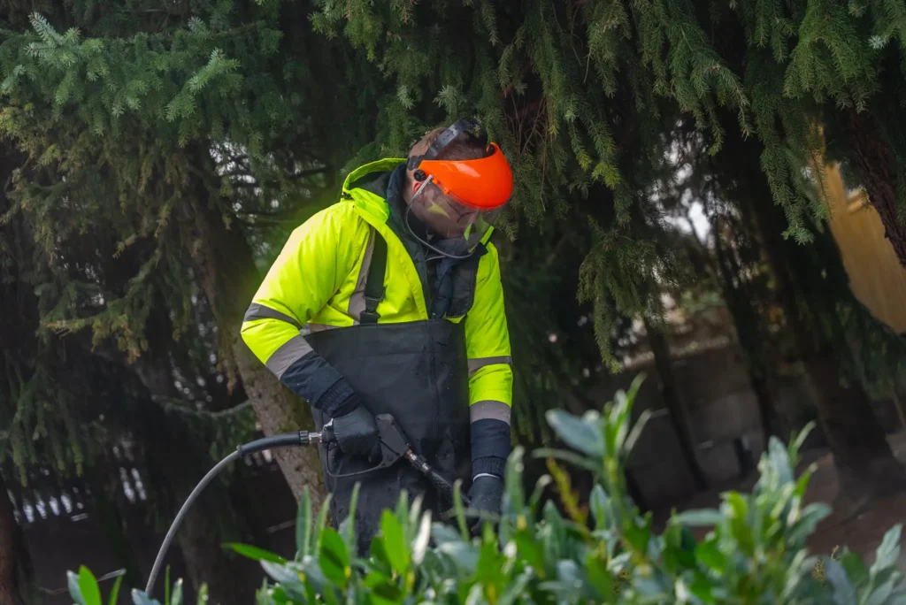 ile kosztuje mycie kostki brukowej karcherem szczecin